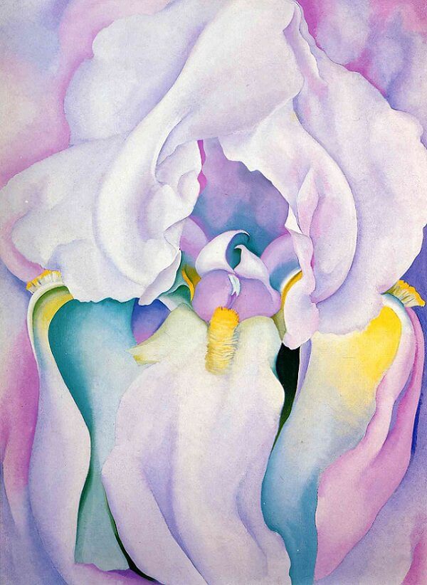 Light Iris, 1924 by Georgia O'Keeffe