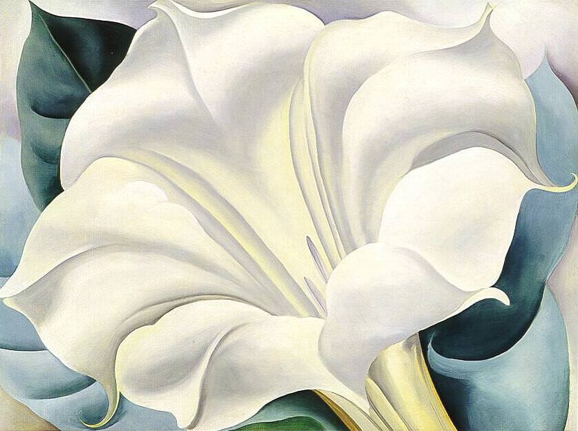The White Flower, 1932 by O'Keeffe