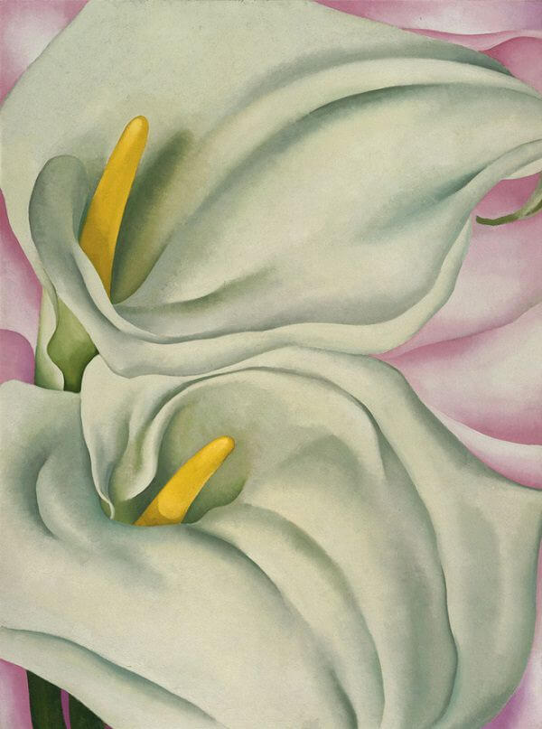 Two Calla Lilies on Pink, 1928 by Georgia O'Keeffe