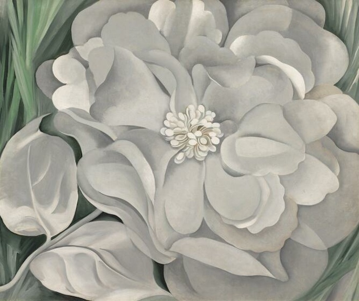 The White Calico Flower, 1931 by Georgia OKeeffe