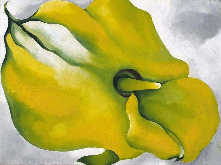 Yellow Calla, 1926 by Georgia O'Keeffe