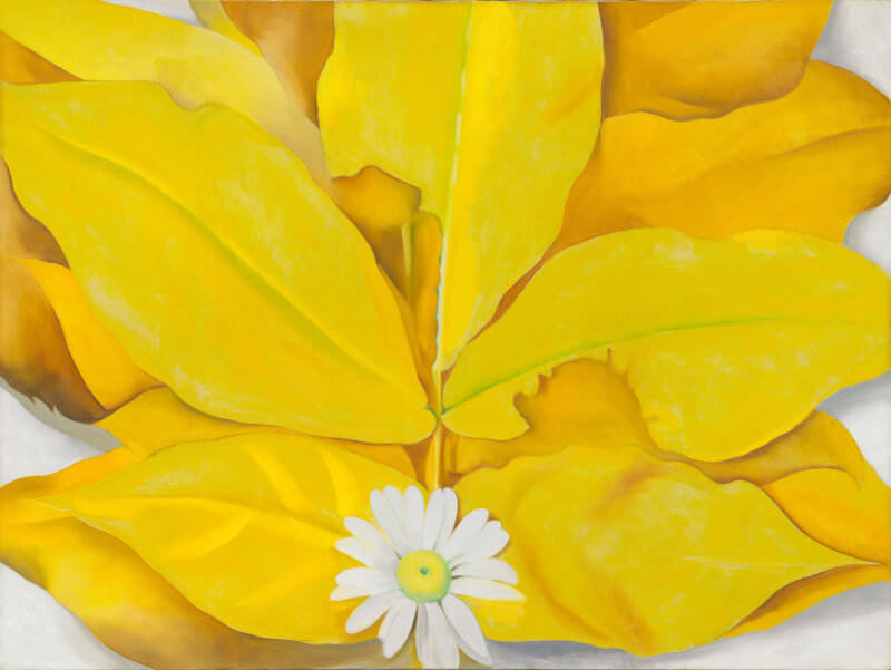 Yellow Hickory Leaves with Daisy, 1928 by Georgia O'Keeffe